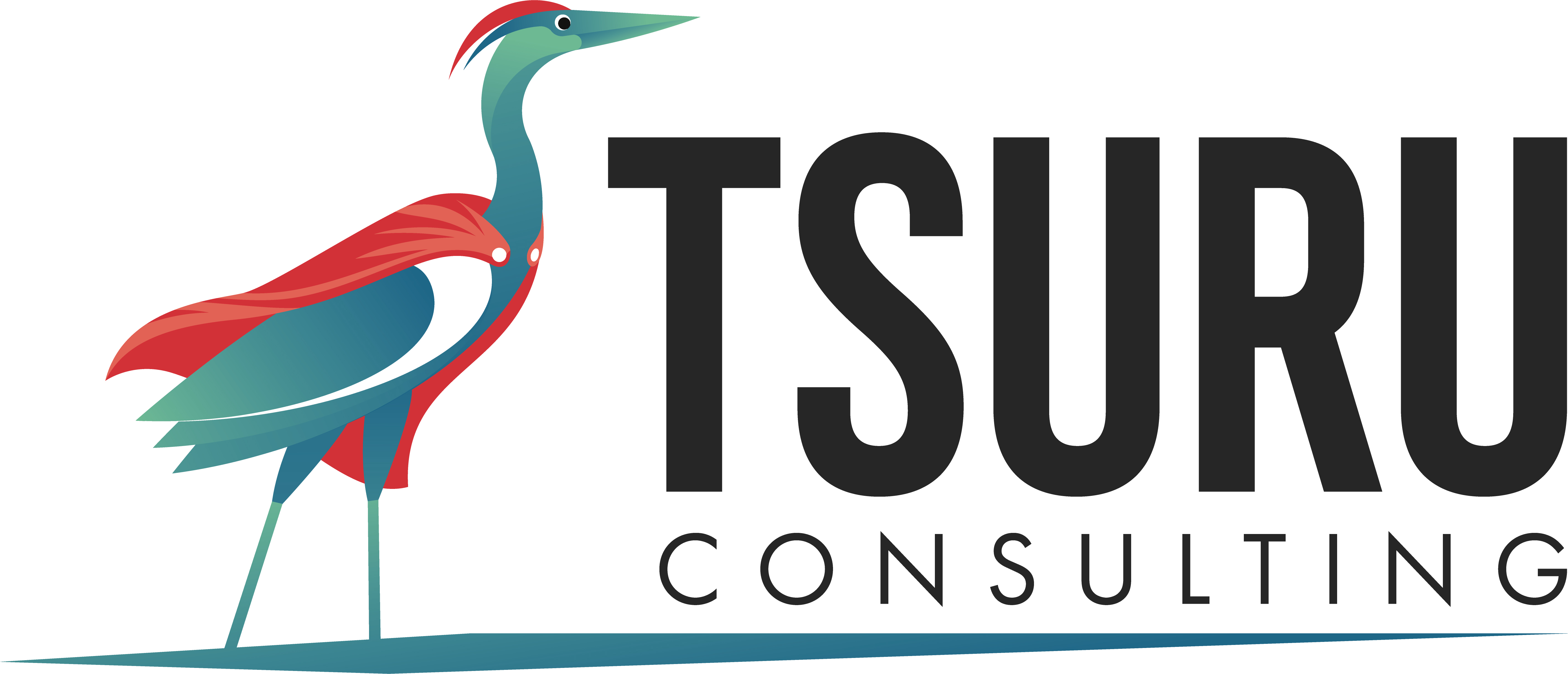 TSURU Consulting